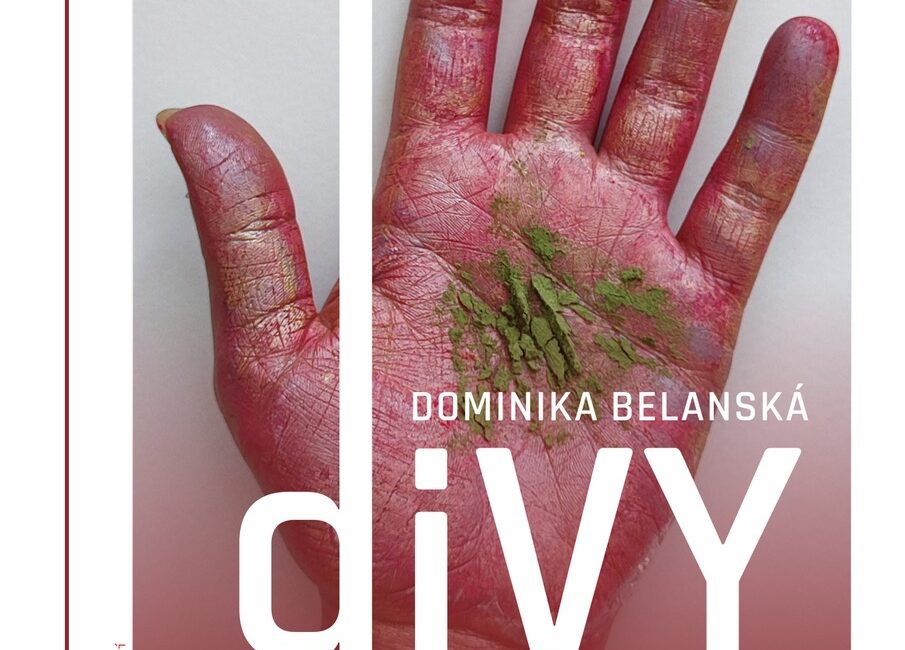 Výstava Dominika Belanská - Divy